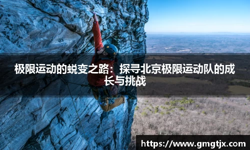 金年会官网